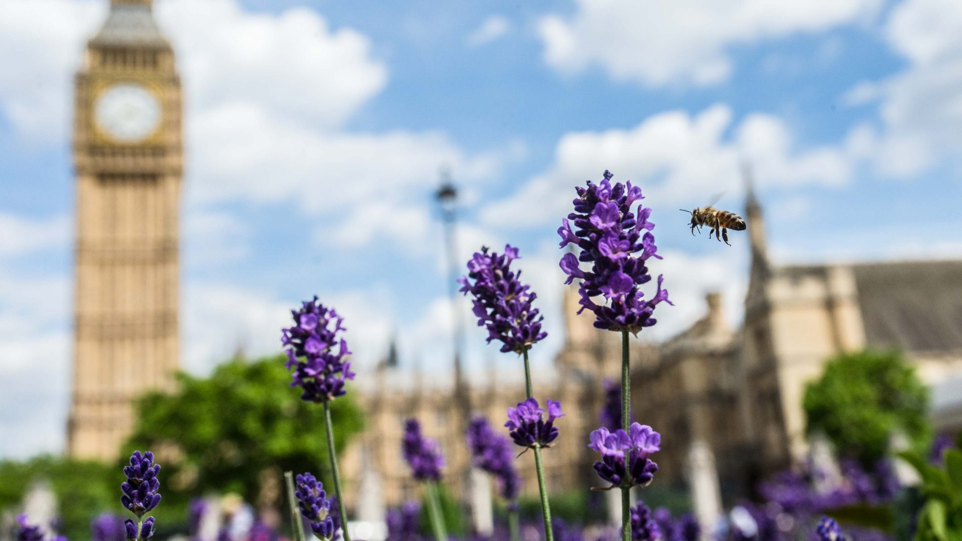 London: The world’s first National Park City